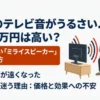 実家のテレビ音がうるさい、親の耳が遠くなった悩みとミライスピーカー購入の迷いを解説するスライド